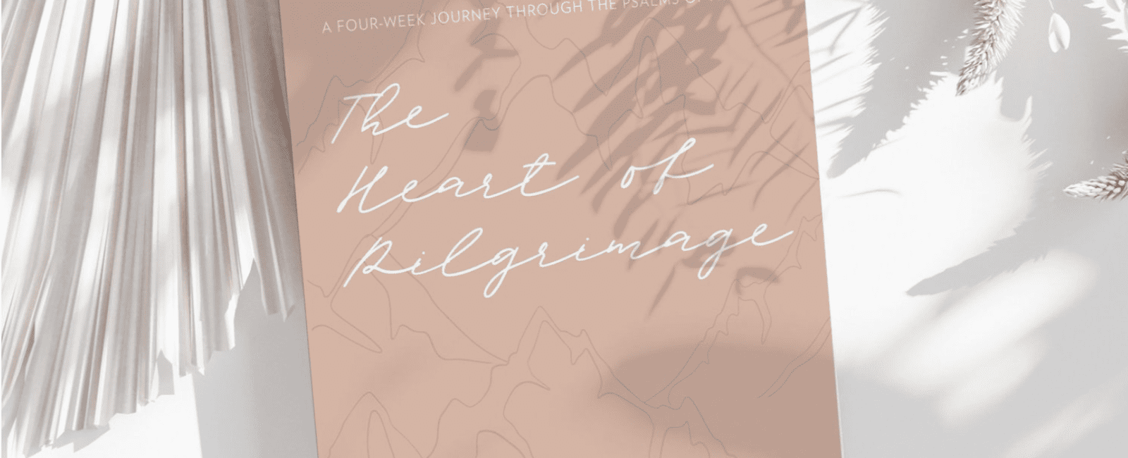 “The Heart of Pilgrimage” – Our New Bible Study &  Doing it Together